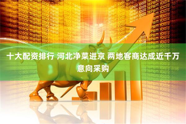 十大配资排行 河北净菜进京 两地客商达成近千万意向采购